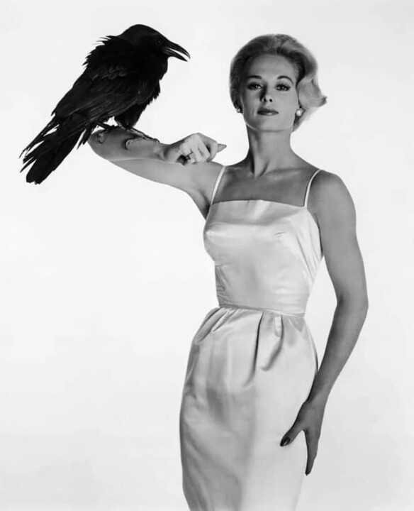 420028651_708542007922212_8967433467493830655_n.jp