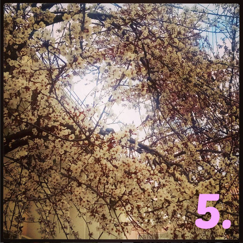 Quinta.jpg Quinta.jpg