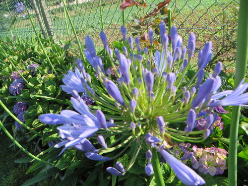 IMG_8231.JPG