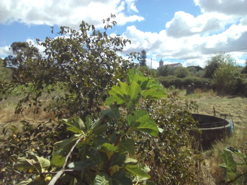 Vale e Igreja. original DAPL. 2016.jpg Vale e Igreja. original DAPL. 2016.jpg