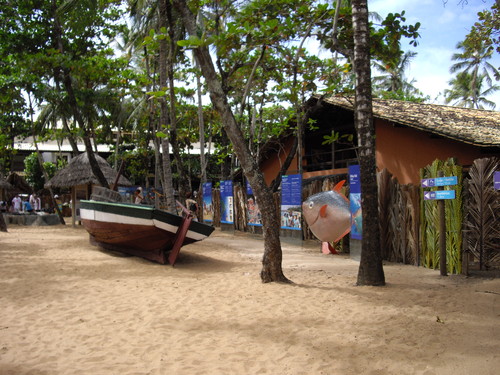 IMGP3605.JPG IMGP3605.JPG