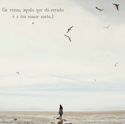 13015100_10207939405754914_3788311511810065125_n.j