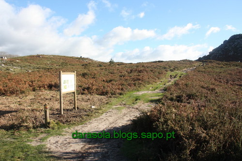 Biodiversidade_Freita_09.JPG Biodiversidade_Freita_09.JPG