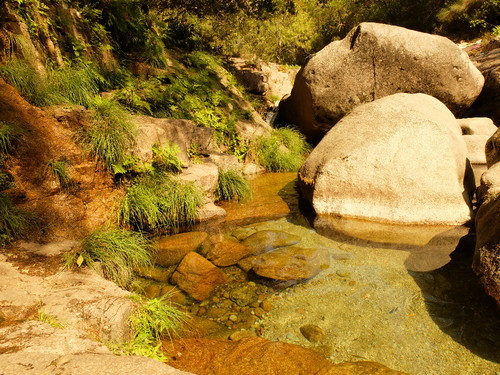 DSCF5251.JPG DSCF5251.JPG