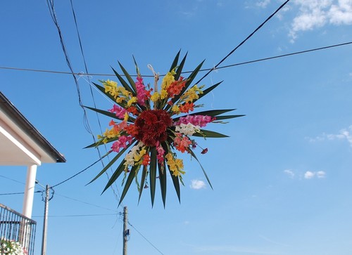 DSC_0311.JPG DSC_0311.JPG