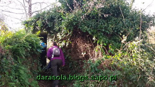 Burgo_05.jpg Burgo_05.jpg