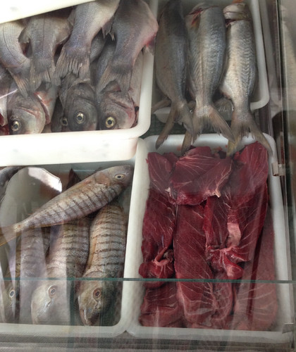 FullSizeRender-1.jpg FullSizeRender-1.jpg