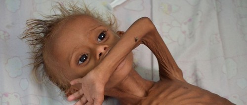 naom_57d3c165081fb (1).jpg