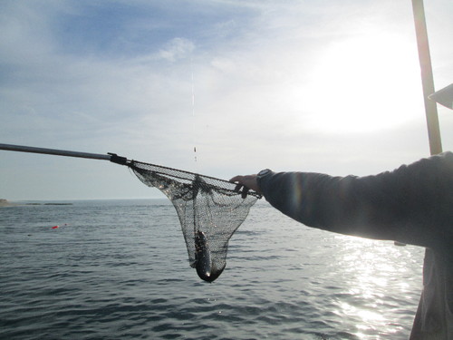 IMG_0948.JPG IMG_0948.JPG