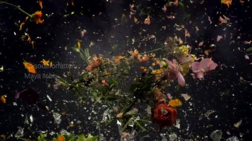 jarra de flores in. downvids.net.jpg