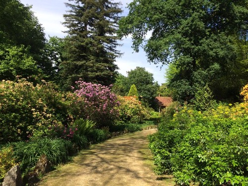 11200890_10202690878593274_5182574003969852761_n.j 11200890_10202690878593274_5182574003969852761_n.j