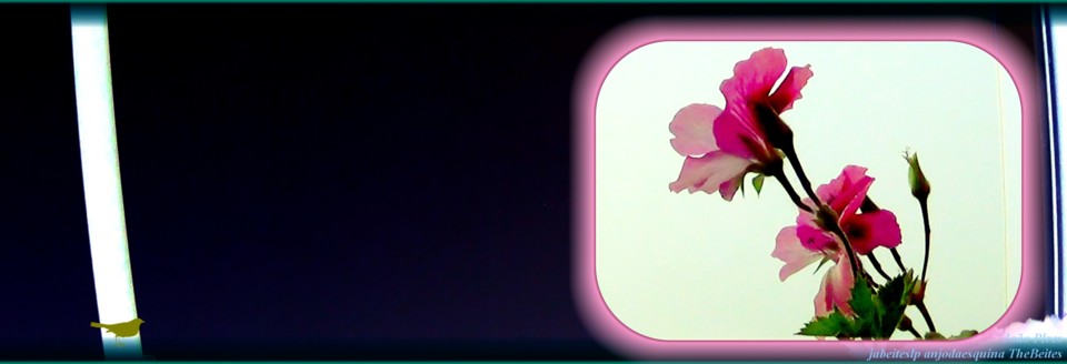 1c       Covilhã a 12-5-2020.jpg