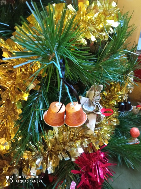 IMG_20201203_083600.jpg IMG_20201203_083600.jpg