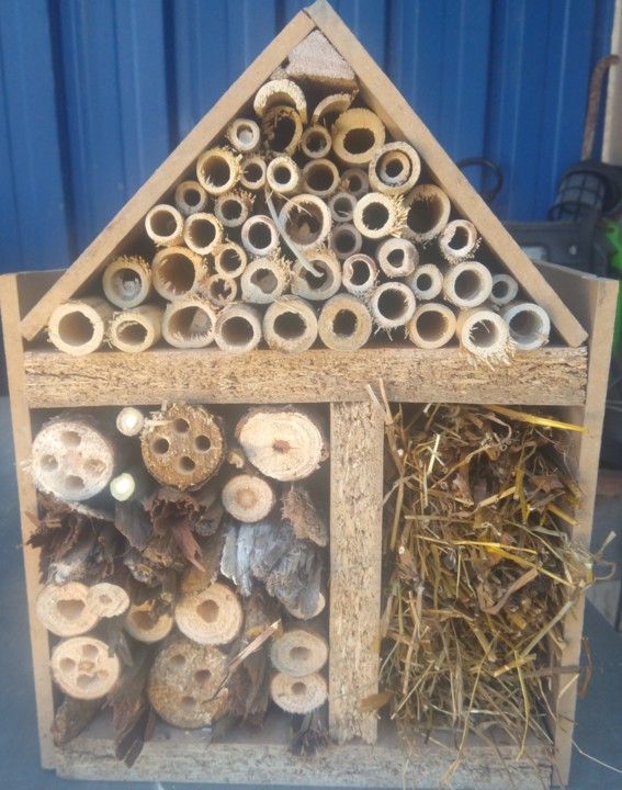 IMG_20200528_152945.jpg IMG_20200528_152945.jpg