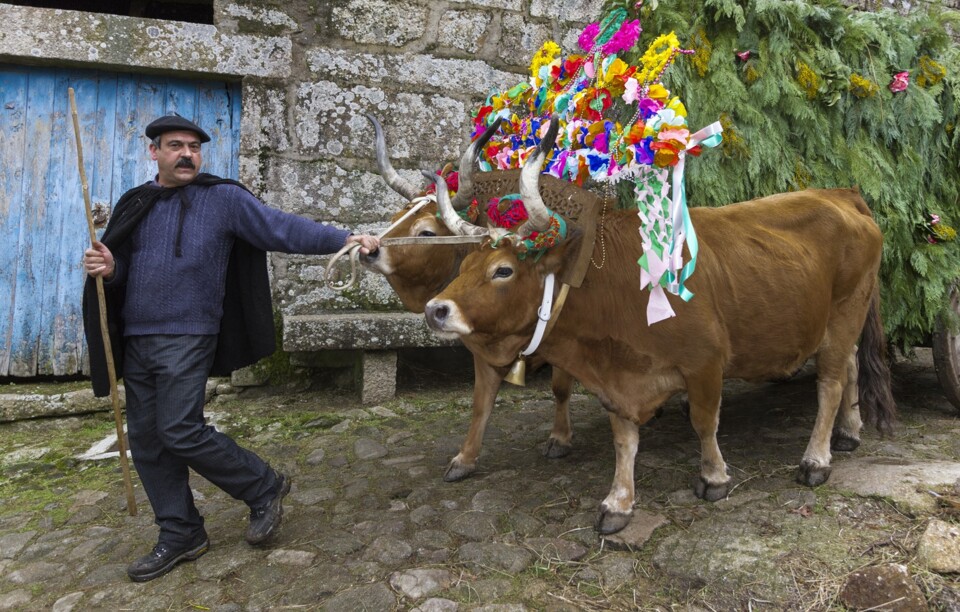 Entrudo Pai Velho 2.jpg