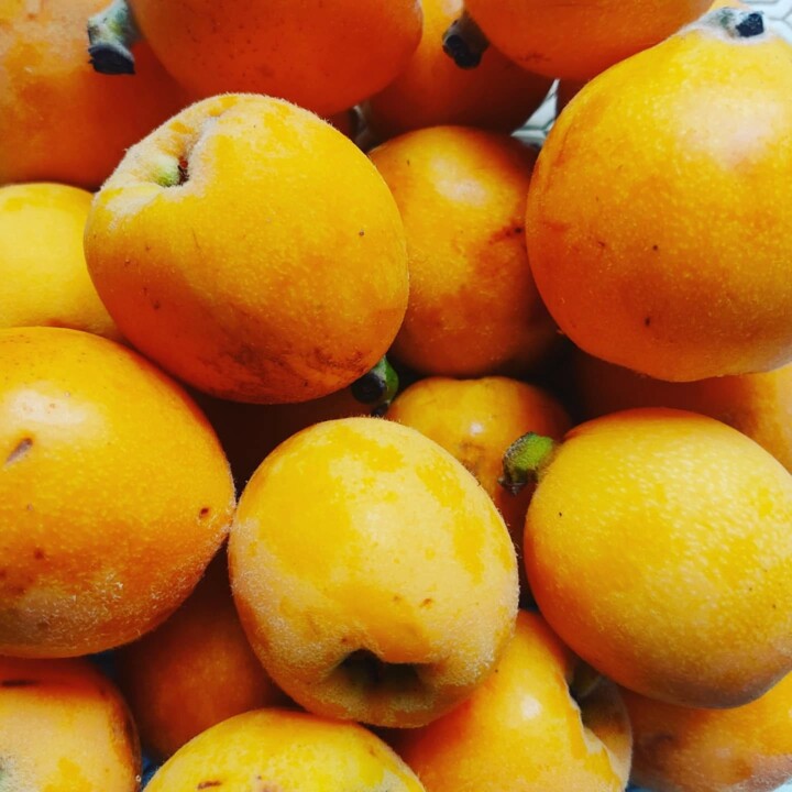 489698665_18472364155066958_270260998577720469_n.j