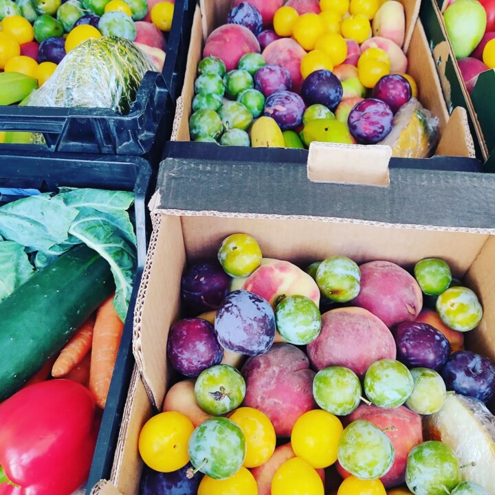 362295134_661839065973507_3822215308530837761_n.jp