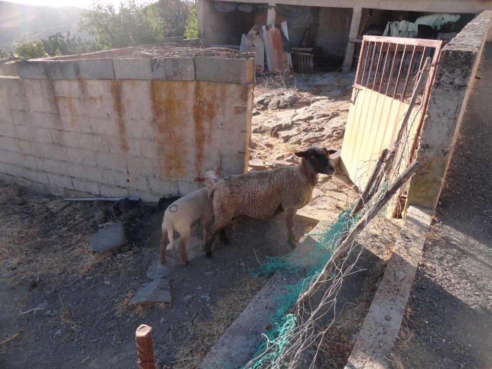 DSC02041.JPG DSC02041.JPG