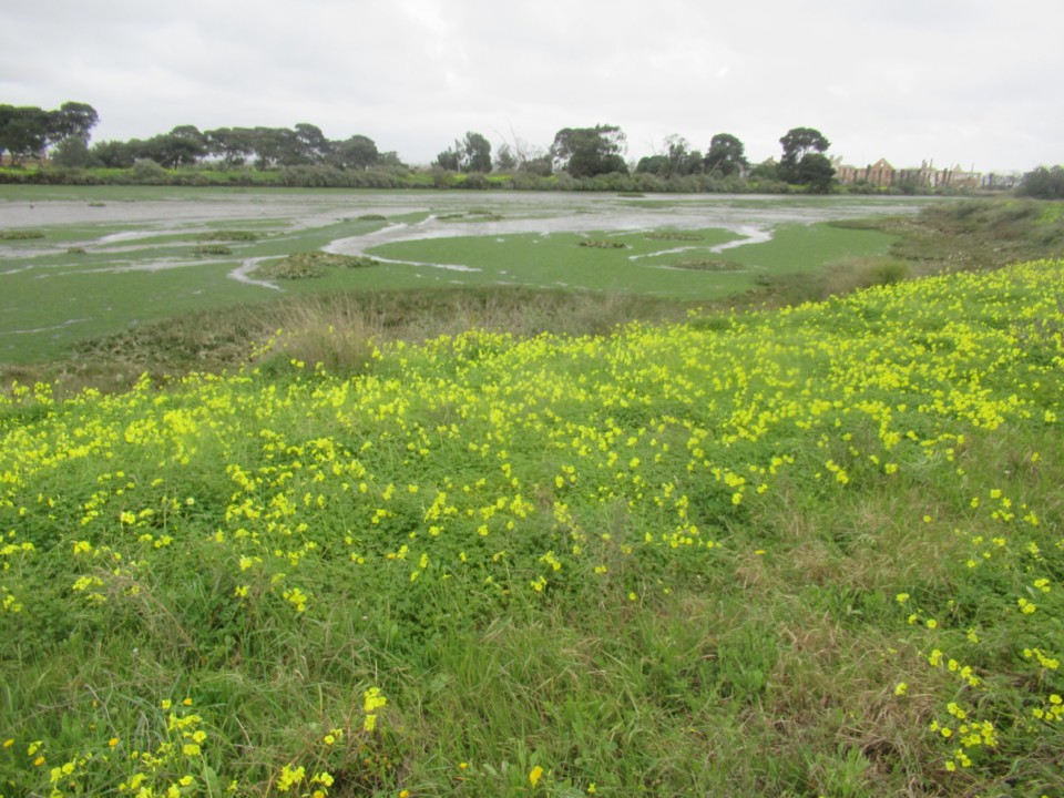 90844592_10218553123277917_660010587903754240_o.jp