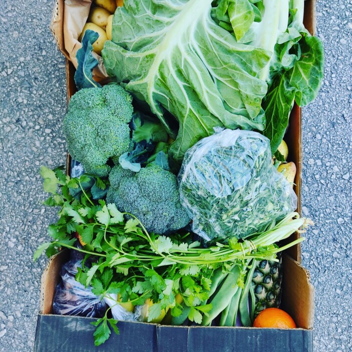 470990979_985409153616495_3848386649899363237_n.jp