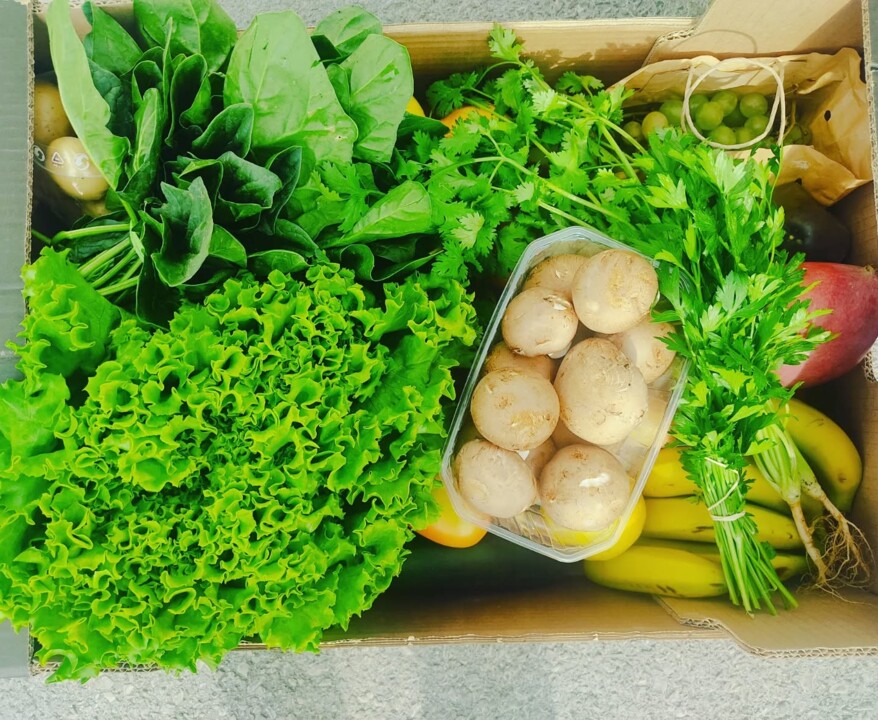 556159262_18501666496066958_4211119219829629494_n.