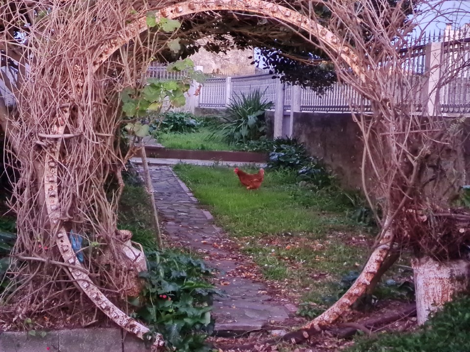 20210112_074352.jpg