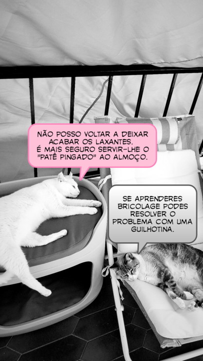 2021-08-18 05-picsay.jpg