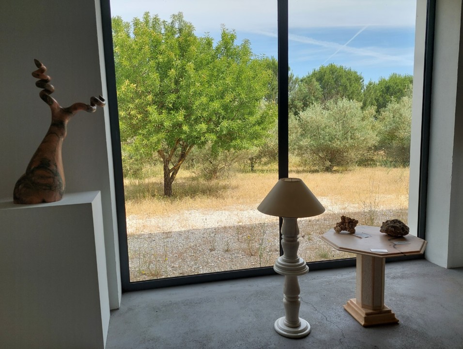 20210530_110017 (2).jpg