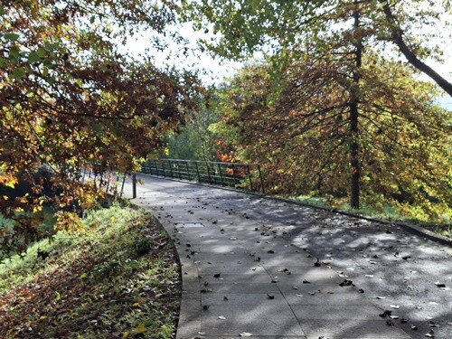 02a_Vale_de_Cambra (28).jpg