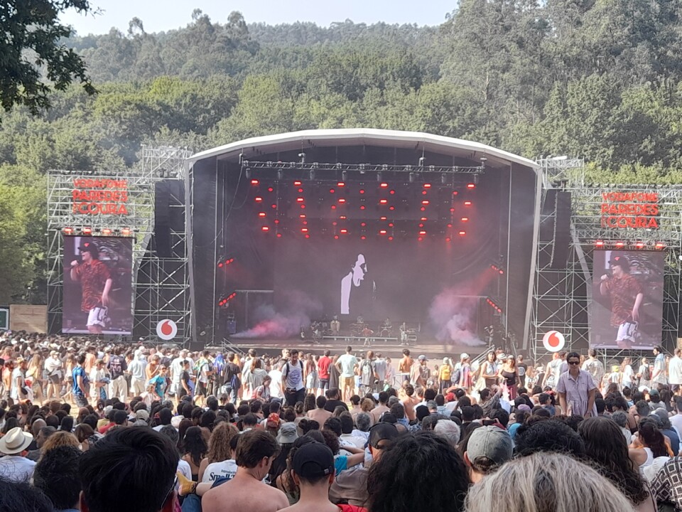 Ana Frango Elétrico.jpg