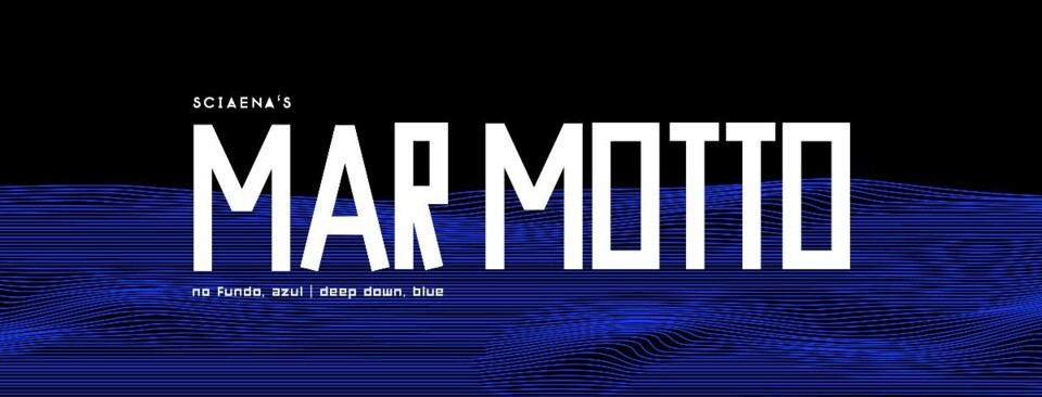 descarregar (10).jfif