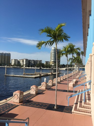 IMG_8815.JPG IMG_8815.JPG