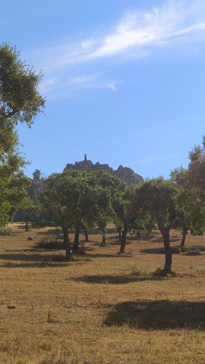 117641578_758339958325618_9083895886078082043_n.jp