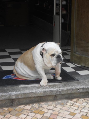 11070996_10204053721757452_3234358507760047585_n[1