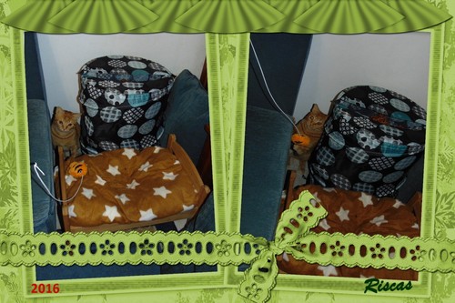 natal2016.jpg natal2016.jpg