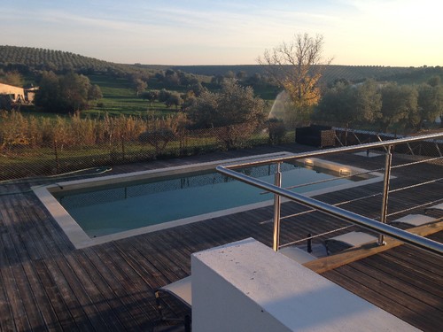 IMG_5123.JPG IMG_5123.JPG