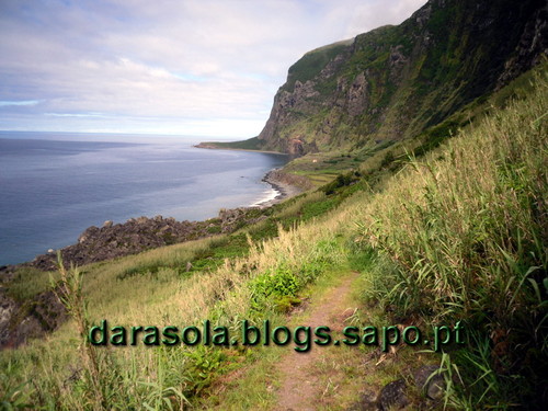 azores_flores_faja_lopo_Vaz_16.JPG azores_flores_faja_lopo_Vaz_16.JPG