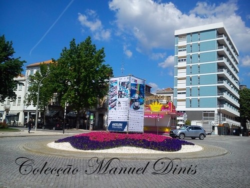 DSC_3113.jpg DSC_3113.jpg