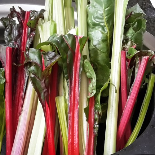 IMG_20150726_121814.jpg IMG_20150726_121814.jpg