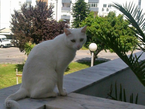 12439126_10207282220872401_9111980402576089762_n.j