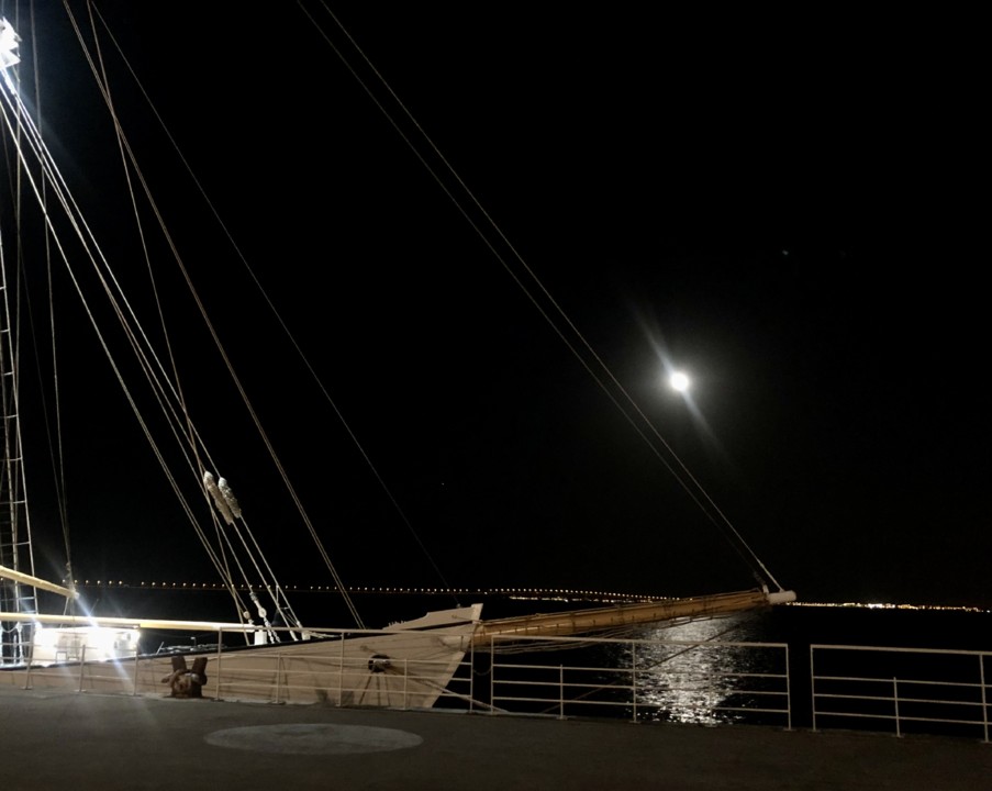 18F3A8C5-18F0-4694-A209-AF4307409B3D.jpeg 18F3A8C5-18F0-4694-A209-AF4307409B3D.jpeg