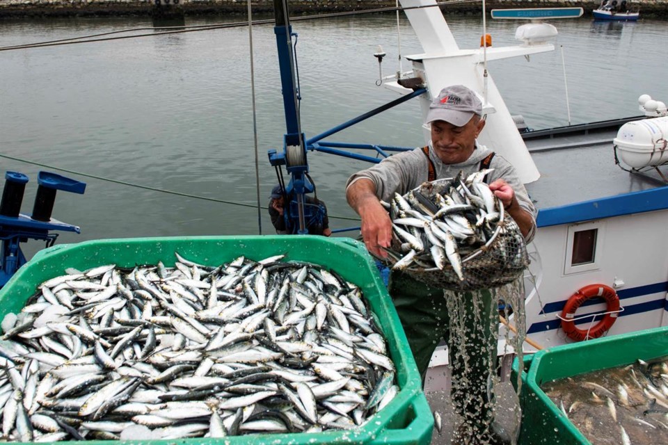 image.aspx.jpg image.aspx.jpg