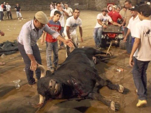 TORTURA MONSARAZ.jpg