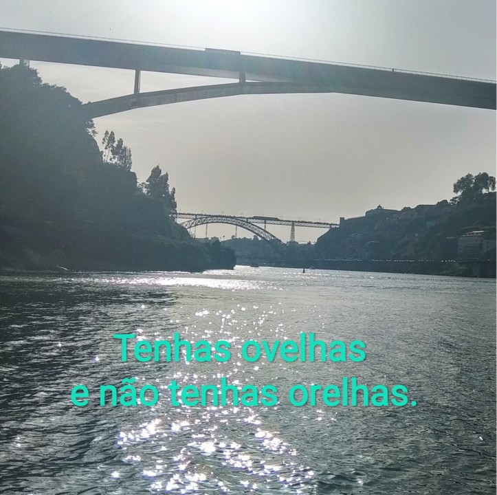 IMG_20191016_220050.jpg IMG_20191016_220050.jpg