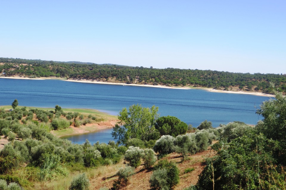 IMG_4073.JPG IMG_4073.JPG