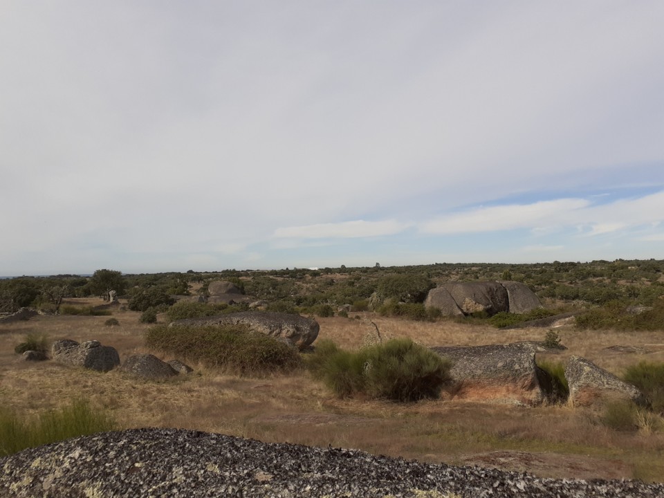 Sementeira de rochas. Foto original. 2021.10.09.jpg