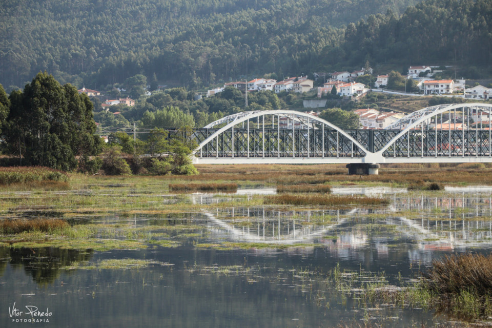 239373975_4267847176598547_6989969371248655085_n.j