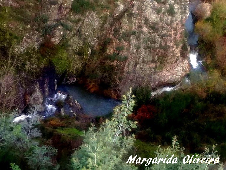 131621146_199836595022209_8741794289622426304_n.jp