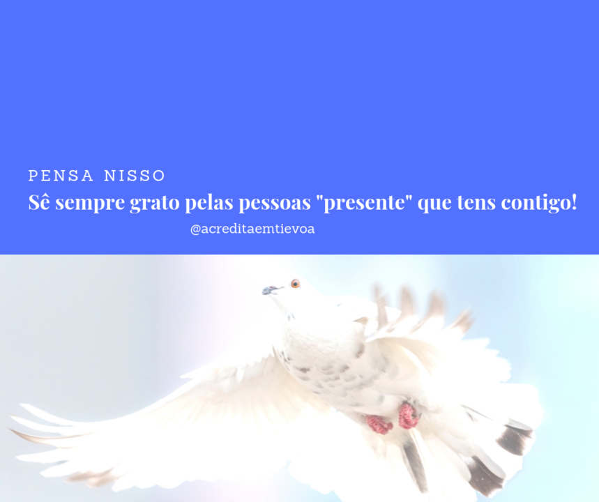 pessoas presentes.png