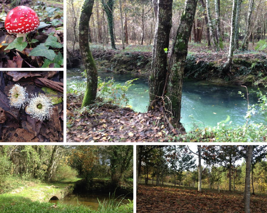 bertiandos2.png bertiandos2.png